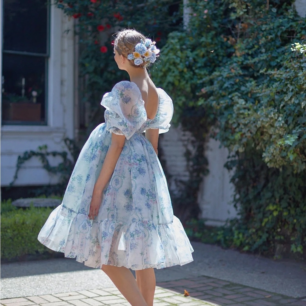 Selkie La Belle Étoile Organza French Puff Sleeve Dress in size XL